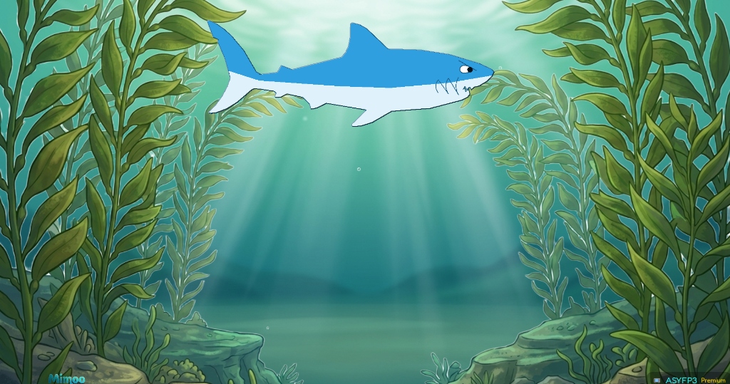 Patrullaje de Tiburones en Mimoo TV